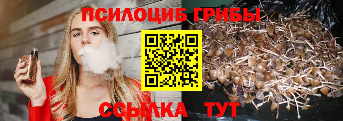 Псилоцибиновые грибы ЛСД Кушва